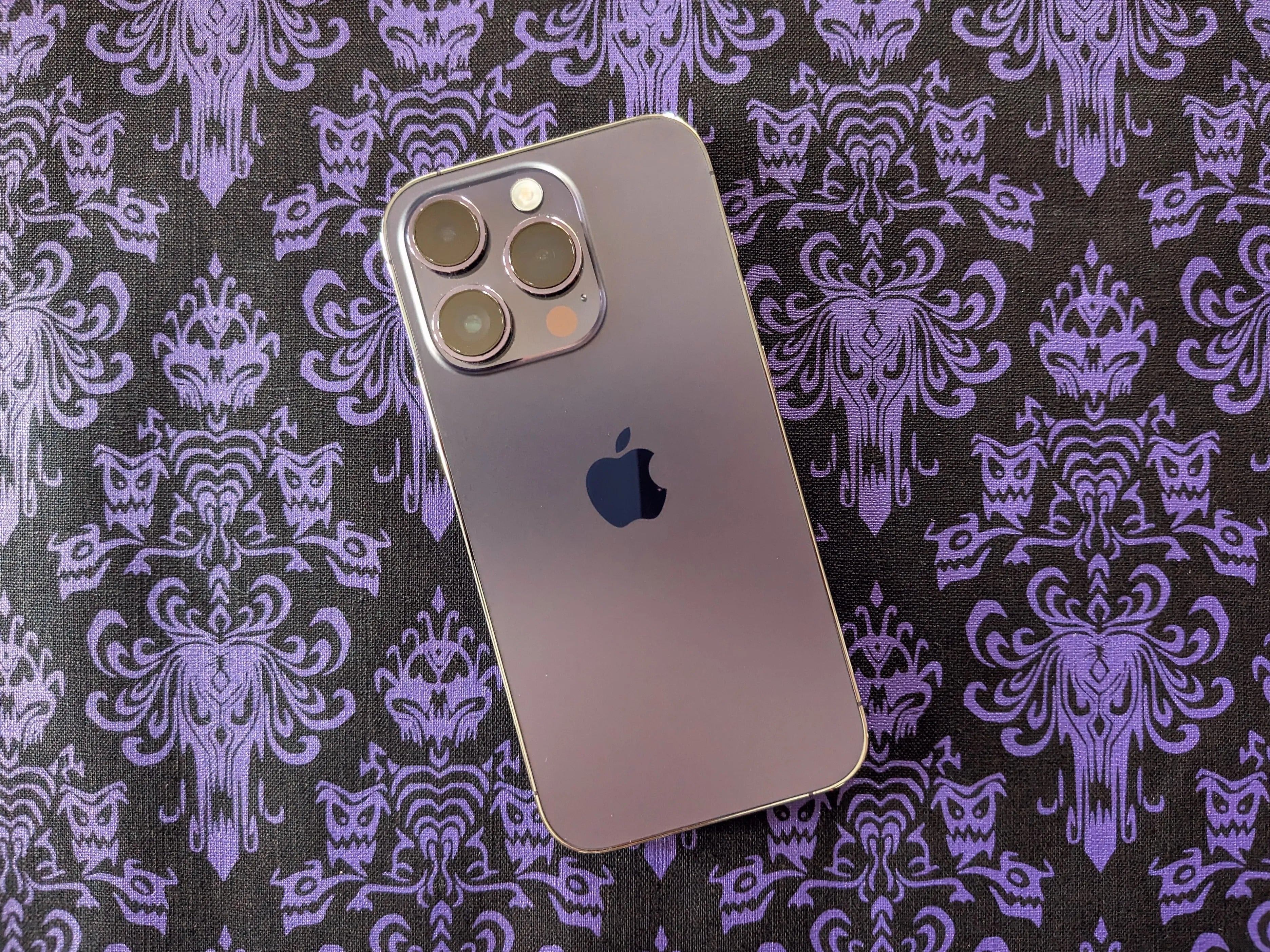 Best iPhone 12 Pro Max cases in 2023
